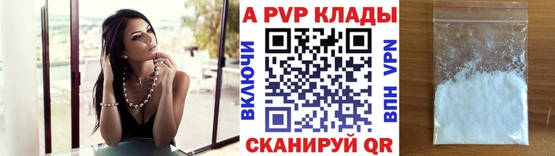 закладка Шенкурск A PVP СК