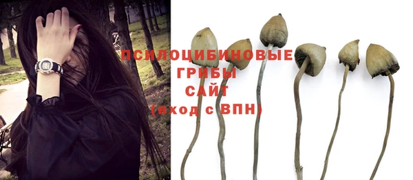 ешки Абаза