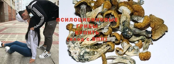 спиды Алексеевка