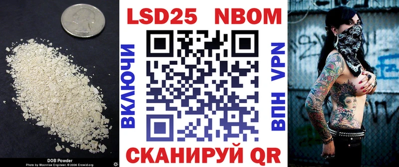 как найти наркотики  OMG как войти  Лсд 25 экстази кислота  Шенкурск 
