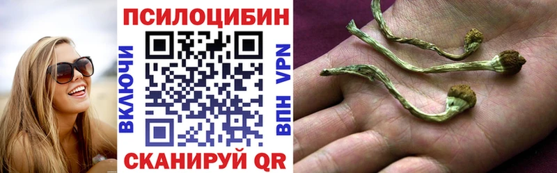 Галлюциногенные грибы прущие грибы  Шенкурск 